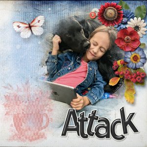 gs-brush-Jack-Attack-2
