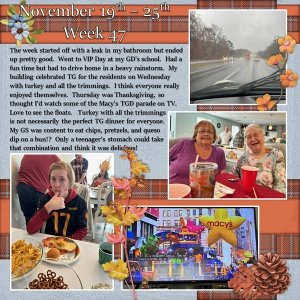 Project 365 Challenge - Week 47