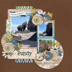 Fundy