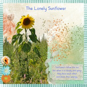 The Lonely Sunflower