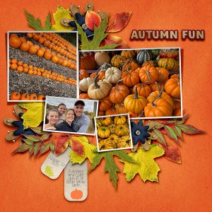 Pumpkin Patch