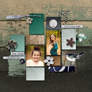 Scrapbook Back Cover 2023