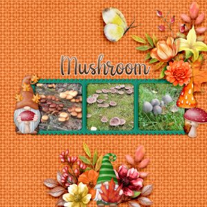 Mushroom1