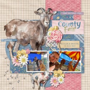 County Fair-pg2