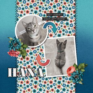 Hana_Attitude