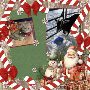 Country Christmas