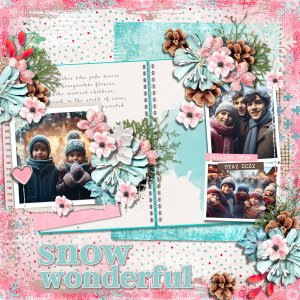 Snow Wonderful