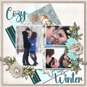 Cozy Winter
