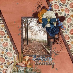 Barren Beauty