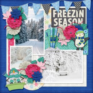Freezin Season