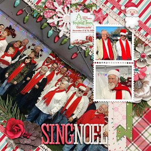 Festival Of Trees