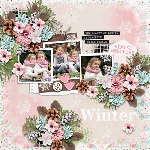 Memories Of The Seasons
