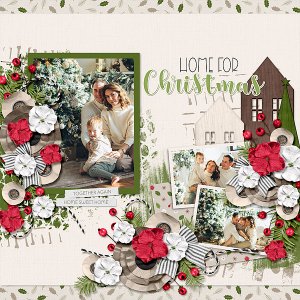 Home for Christmas