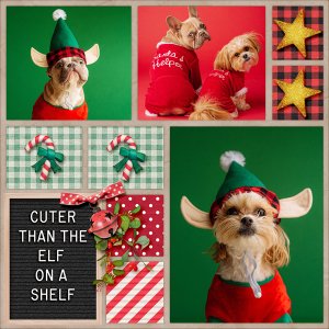 Cuter Than an Elf