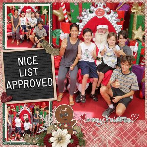 Nice List approved