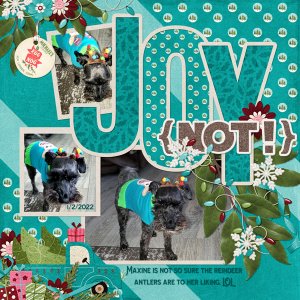 Celebrate the Season Bundle by Designs by Connie Prince