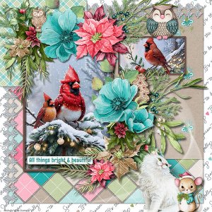Bright and Beautiful Collection by ADB Designs