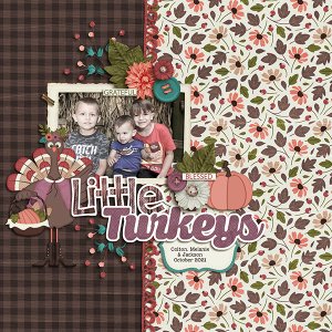 Little Turkeys