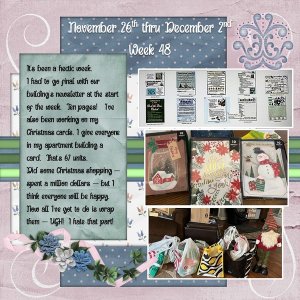Project 365 Challenge - Week 48