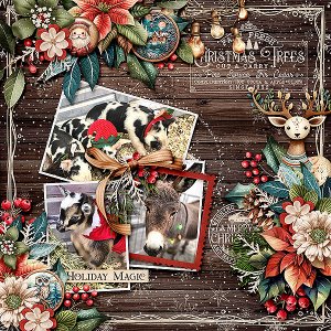 Christmas Friends