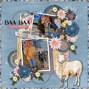 Baa Baa Black Sheep