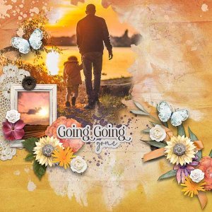 Going Going Gone
