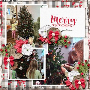 Merry Memories