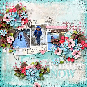Winter Snow