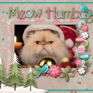 Meow Humbug