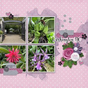 Botanic garden
