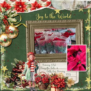 Poinsettia Sale