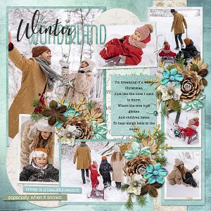 Winter Wonderland