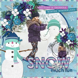 Snow Much Fun