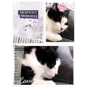 Snapshot memories