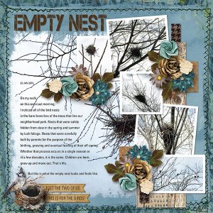 EMPTY NEST