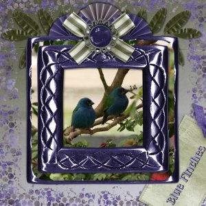 Finches