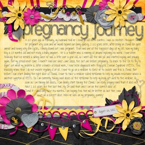 Pregnancy Journey