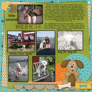 2012-week-34