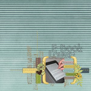 e-book reader