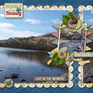 The Dales