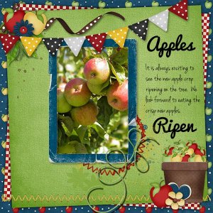 Apples_ripen