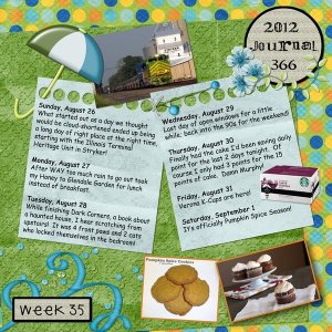 Journal 366, Week Journal 366, Week 35