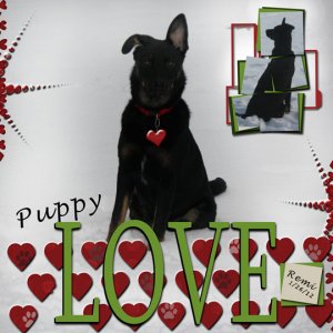 Puppy Love