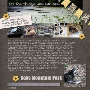 Bays Mountain Park