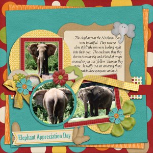 elephantday_365september_altimasport
