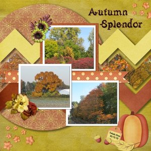 Autumn Splendor