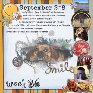 2012 - Week 36