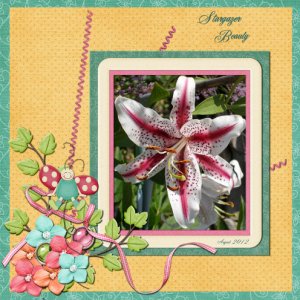 Stargazer Beauty