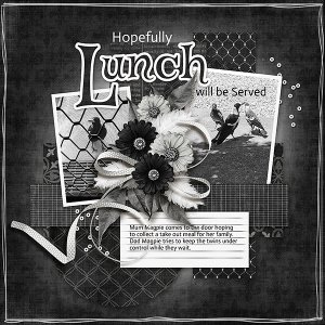 Lunch is Served...hopefully