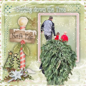 Cutting the Tree